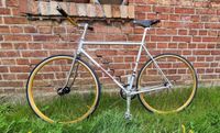 Rarität! Singlespeed – Bike - Neuaufbau mit orig. Diamantrahmen Brandenburg - Dahme/Mark Vorschau