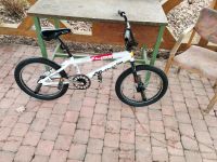 Fahrrad BMX Niedersachsen - Dassel Vorschau