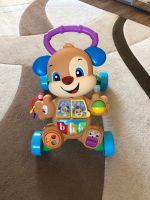 FISHER-PRICE Lauflernwagen mit Spielfunktionen Hessen - Morschen Vorschau