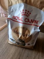 Royal canin Maine coon 4 kg Katzentrockenfutter Brandenburg - Panketal Vorschau