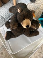 Teddy Bär von Steiff Bayern - Haßfurt Vorschau