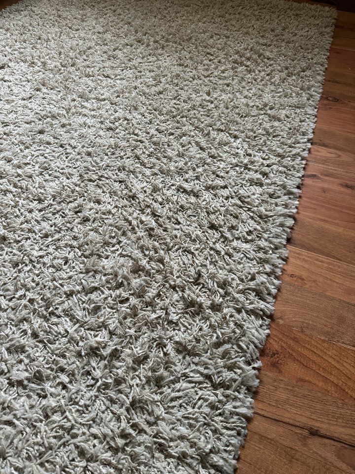 Großer TEPPICH aus Teppichgeschäft beige/grau * 250 x 350 in Mainz