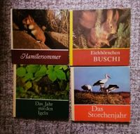 DDR Kinderbücher Eichhörnchen Hamster Igel Storch Sachsen - Freital Vorschau