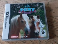 Nintendo DS-Pony Friends Hessen - Florstadt Vorschau