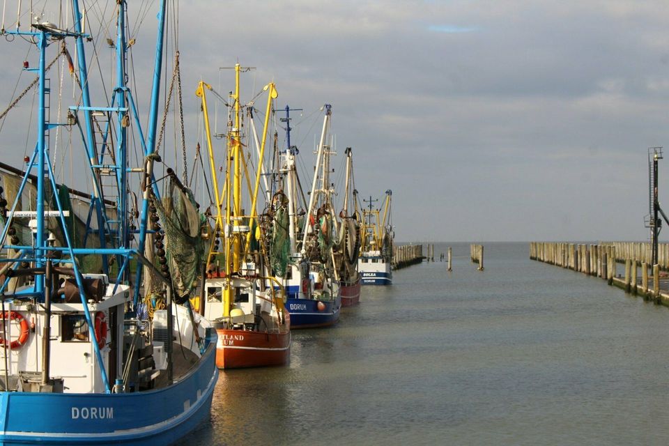 Ferienhaus Nordsee mit Hund 3 SZ  Kamin WLAN Garten Terrasse in Gescher