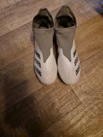 Adidas Predator Brandenburg - Rüdersdorf Vorschau