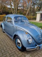 VW Käfer Bj.1958 48 Jahre in Ersthand Niedersachsen - Oldenburg Vorschau