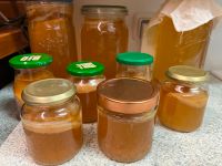 Kombucha Pilz Scoby Teepilz Starterflüssigkeit Leipzig - Leipzig, Zentrum Vorschau