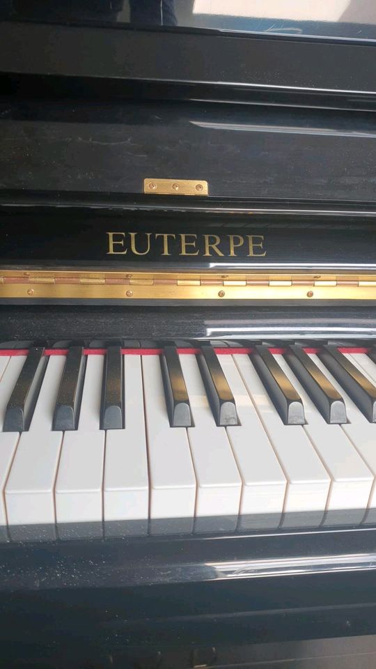 Klavier Euterpe EU-121 von C. Bechstein in Donaueschingen