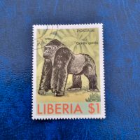 Gorilla Silberrücken Affe Menschenaffe #0665 Niedersachsen - Aurich Vorschau