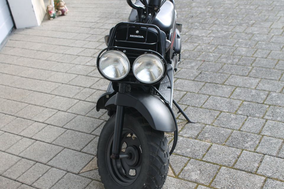 Honda Zoomer NPS 50, Roller, Motorroller, in Ellwangen (Jagst)