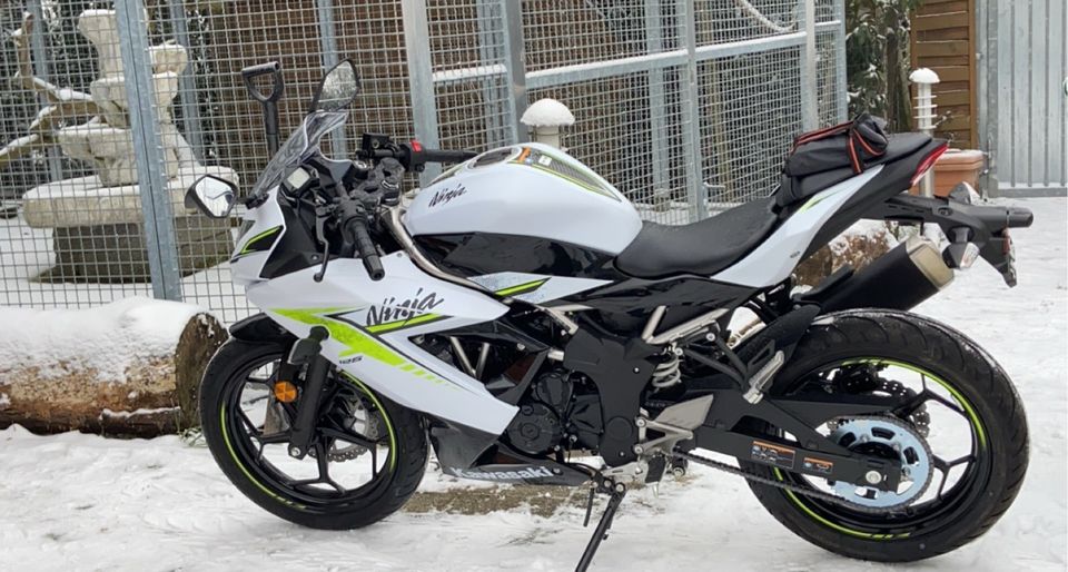 Motorrad Kawasaki Ninja 125 in Albig