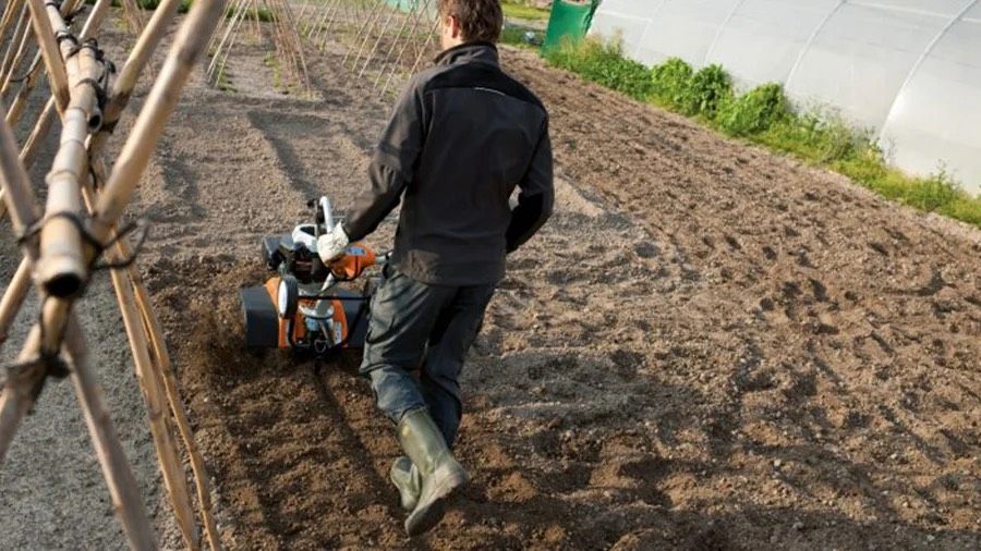 Gartenpflege Gartenarbeit Gärtner Heckenschnitt Baumschnitt in Berlin