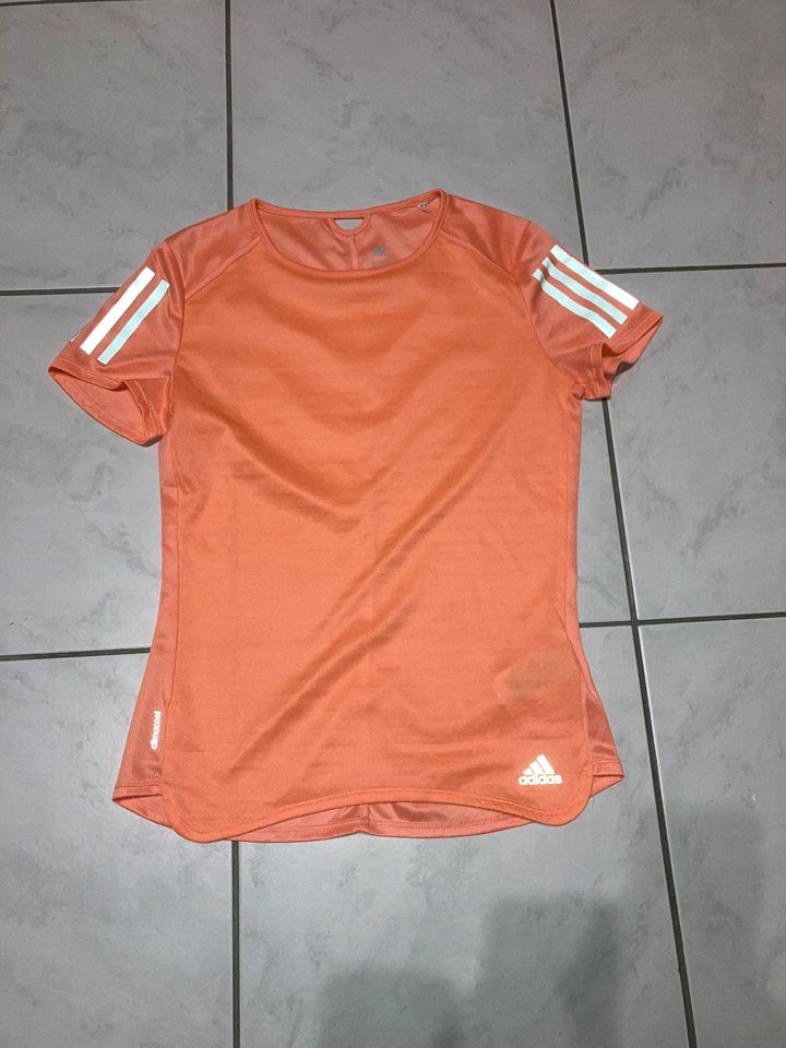 Damen/Mädchen Sport Shirt XS Adidas orange in Simbach