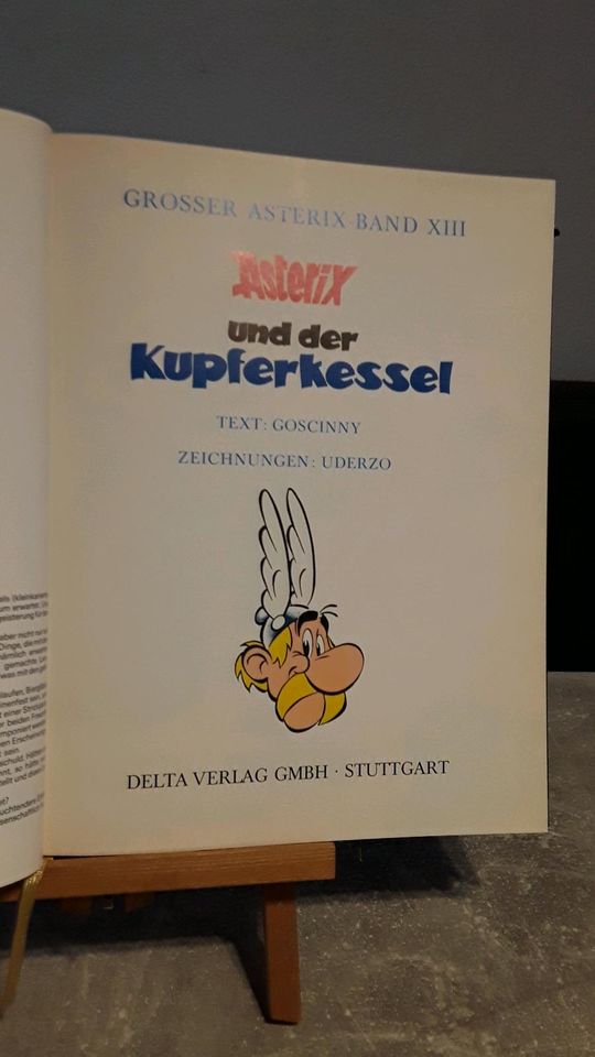 Asterix der Gallier - Ledereinbad / 8 Bücher / verschiedene in Köln