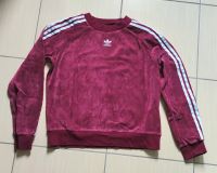 adidas Mädchen Samtpullover Gr. XS / 32 / Gr. 152 Sachsen - Coswig Vorschau