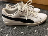 Puma Schuhe 38 Snicker Niedersachsen - Freren Vorschau