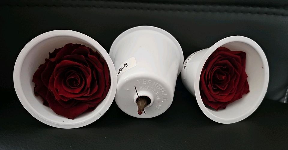 ANGEBOT 3Haltbare Rosen konserviert,Muttertag,Vatertag,Hochzeit in Spaichingen