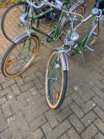 Diplomat Fahrräder Nordrhein-Westfalen - Stadtlohn Vorschau