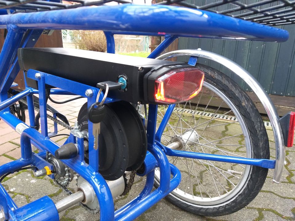 Dreirad Erwachsene Elektro E-Bike Wulfhorst Lucky S 20'' in Gleichen