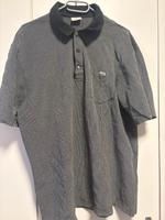 Lacoste Poloshirt Brandenburg - Cottbus Vorschau