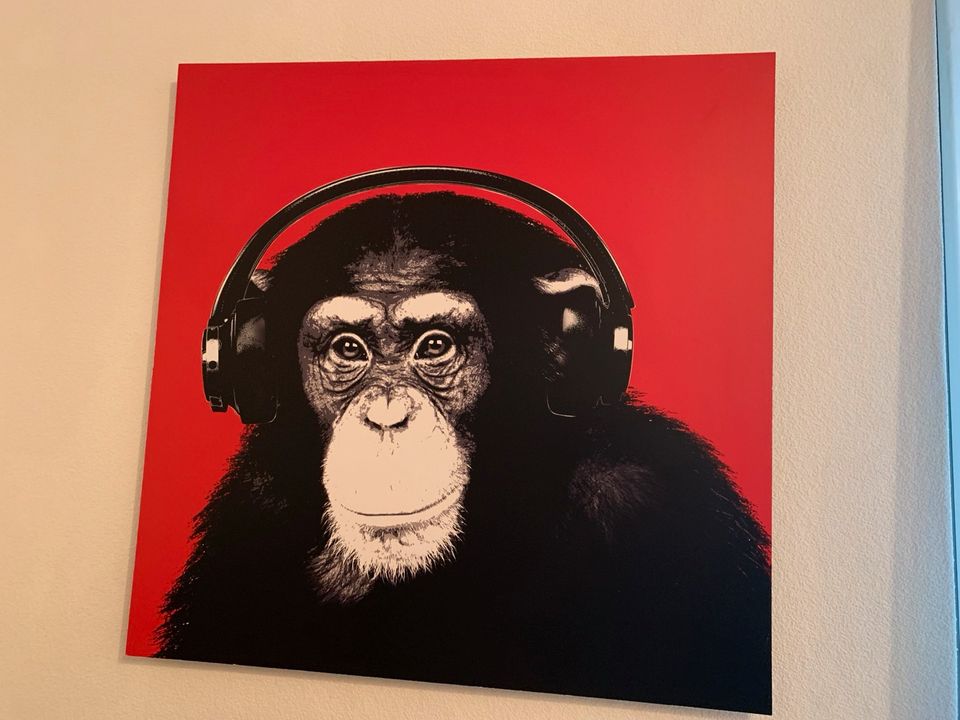 Bild „Affe mit Kopfhörern“ in Solingen
