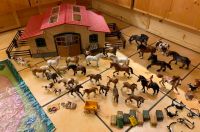 Schleich Pferdestall 42103 + XXL Zubehörpaket Niedersachsen - Walsrode Vorschau