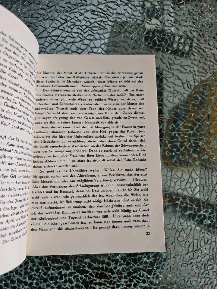 Das Buch vom Es Georg Groddeck in Krempe