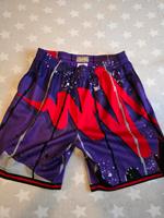 Toronto Raptors Mitchell & Ness Swingman Shorts XXL Herzogtum Lauenburg - Geesthacht Vorschau