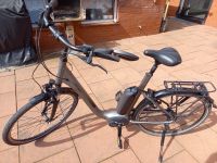 E-Bike Raleigh Niedersachsen - Uchte Vorschau