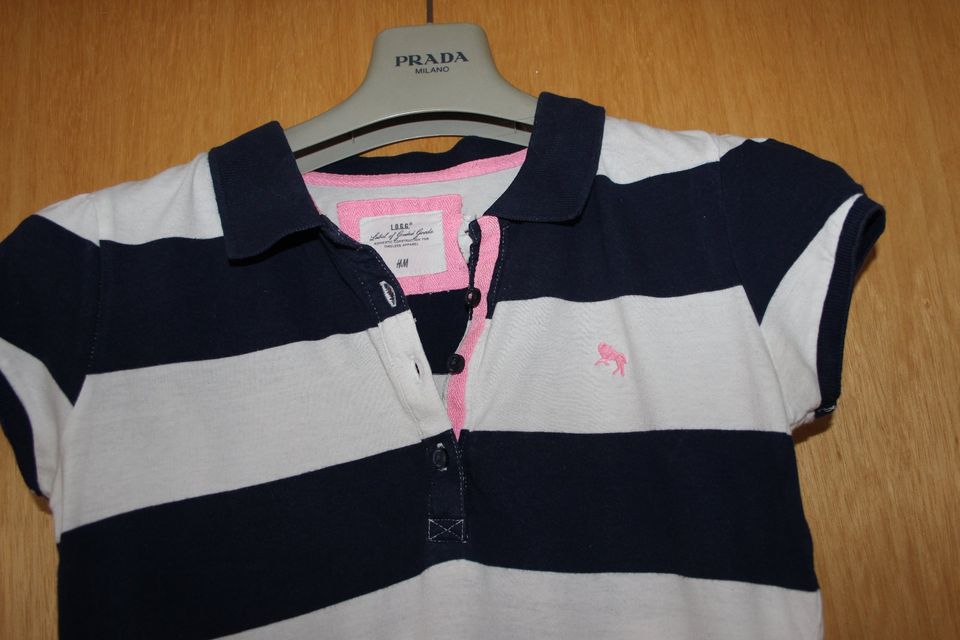 H&M Poloshirt Shirt T-shirt Gr. 170 in Dortmund