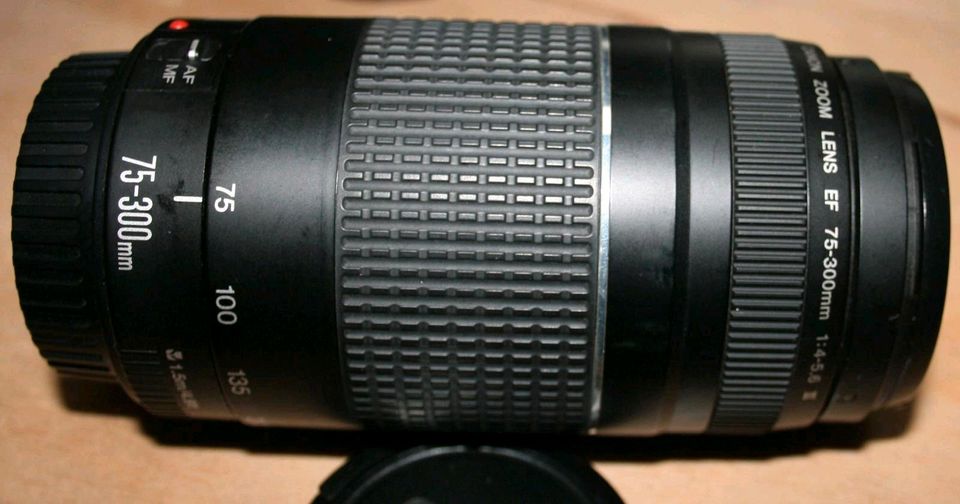 Canon Zoom EF 75-300mm in Rendsburg