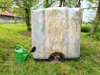 Wasserbehälter Kunststoff 1000 Liter. Rheinland-Pfalz - Wallendorf Vorschau