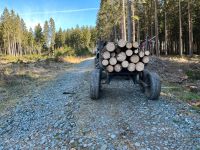 Rückenwagen für atv oder kleintraktor Sachsen - Gornsdorf Vorschau