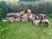 Holz zum basteln ( kein Brennholz) Bad Godesberg - Lannesdorf Vorschau