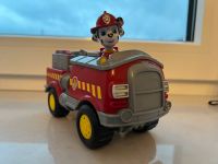 Paw Patrol Marshall Nordrhein-Westfalen - Kreuztal Vorschau