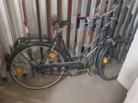 Fahrrad Damen 28er Leipzig - Altlindenau Vorschau