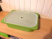 Kuchenbehälter 40x30x10 Transportbox Kunststoffkiste Tortenbehält Nordrhein-Westfalen - Löhne Vorschau