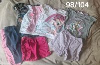 Kleidung Paket Mädchen (Shirts, Hosen, Jacken) Niedersachsen - Wedemark Vorschau