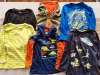 Jungen Kinder Langarmshirts, Hoodie, Sweatjacke Gr. 122, sehr gut Schleswig-Holstein - Itzehoe Vorschau