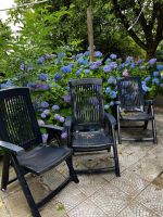 Gartenstühle JARDIN Hochlehner 4 Stk. blau Nordrhein-Westfalen - Jüchen Vorschau