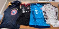 FC Bayern Hoody Pulli Trikot Bayern - Traunstein Vorschau