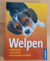 WELPEN  Kosmos-Buch als Begleiter durch die Welpenzeit Nordrhein-Westfalen - Lügde Vorschau