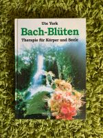 Ute York Bachblüten Therapie für Körper und Seele Hessen - Bad Soden-Salmünster Vorschau