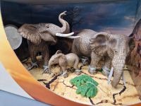 Schleich Wild Life Afrikanische Elefantenfamilie Neu Sachsen - Markranstädt Vorschau