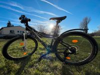 Focus DNA 20“ - MTB Bayern - Regensburg Vorschau