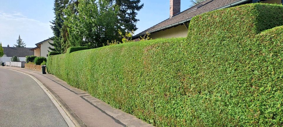 Gàrtner  Gartenpflege in Ingolstadt