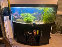 Juwel Vision 450 Aquarium komplett LED Hessen - Hohenstein Vorschau