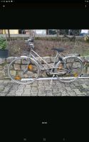 Staiger Retro 26 Zoll Damen Fahrrad Bayern - Grettstadt Vorschau