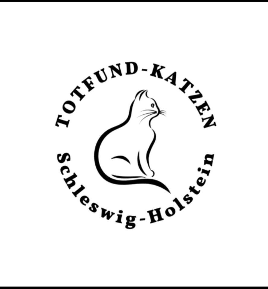 Verunfallte Katze Kater dunkelgrau-schwarz mit weiß in Hoisdorf 